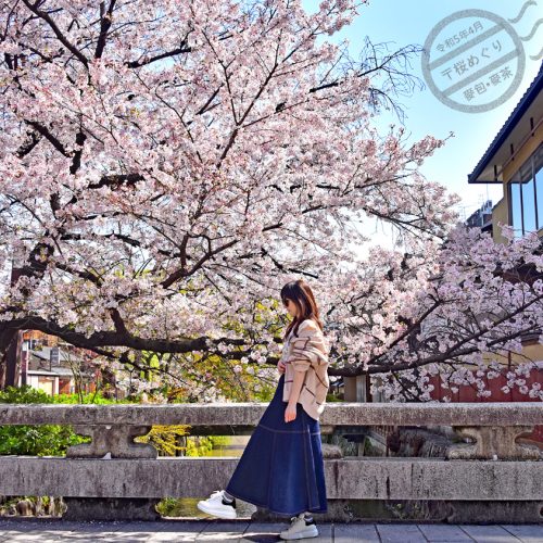 【日本】春櫻花見（桜めぐり）• 規劃、攻略、出發
