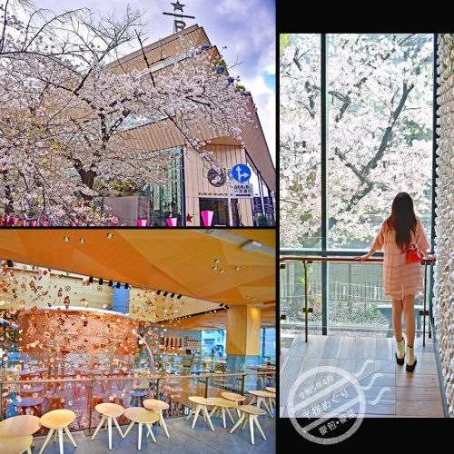 【東京】櫻花相伴的《星巴克臻選®東京烘焙工坊｜Starbucks Reserve Roastery Tokyo》