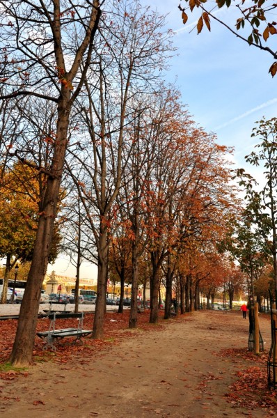 巴黎有很多樹木﹐這樣的景色隨處可見  