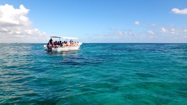 最後一天早上乘船出海浮潛﹐去看加勒比海的珊瑚礁 