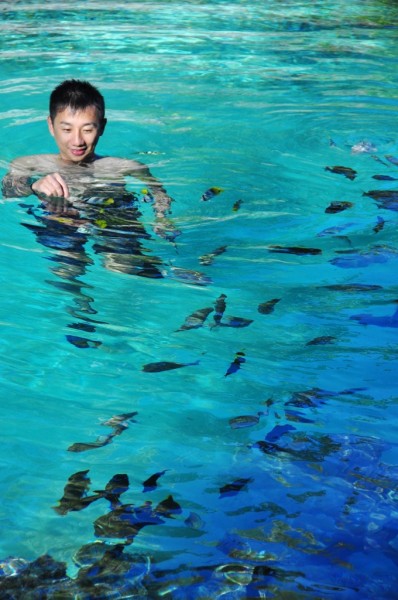 下水就有魚自然游來你身邊，以為你會餵牠們東西吃 