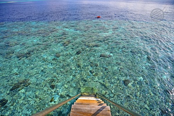 直接下海就是一片珊瑚區，斷層連接深海