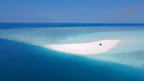 出發無人小島《Dream Island 》